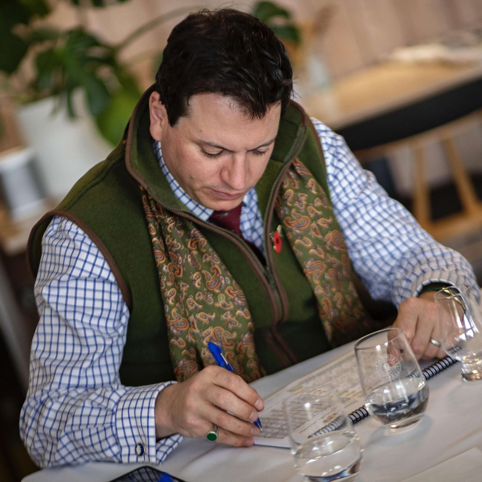 tobias-gorn-judge